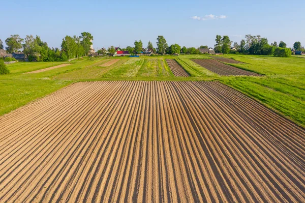 Plowing land furrows for planting agronomical plants among the countryside of grass and meadows trees, aerial view from above. — Stock Photo, Image