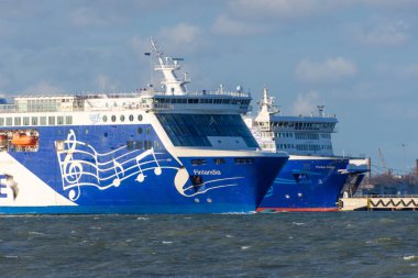 Eckero Hattı 'ndan Cruiseferry Finlandia Tallinn' e hareket eder. Rusya, Estonya, 30 Kasım 2011.