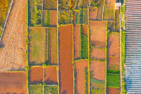 Paisagem agrícola aérea, campos separados por arbustos de plantas, e ao lado da estufa . — Fotografia de Stock