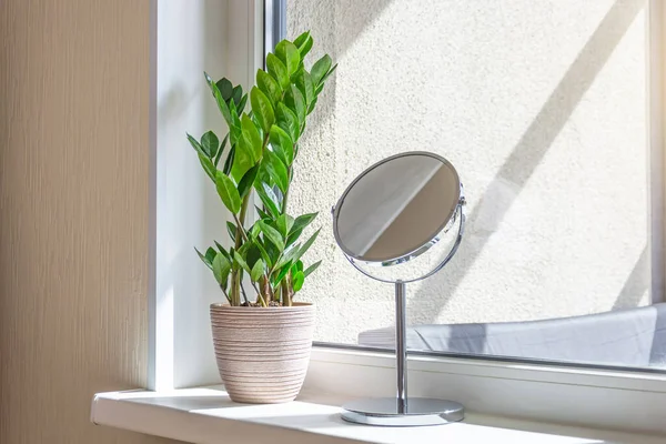 Plante Verte Zamioculcas Miroir Table Ronde Sur Rebord Fenêtre Une — Photo