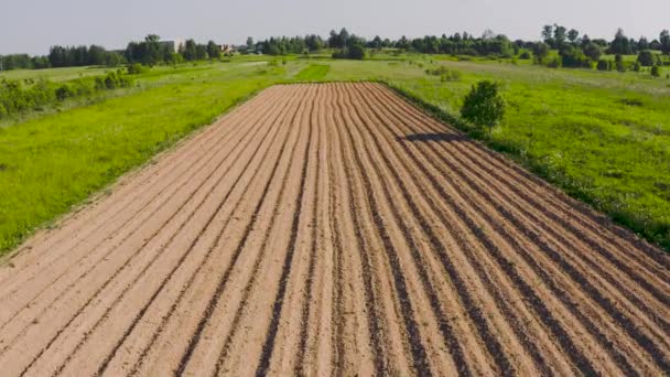 Widok Zaoranych Pól Wiosnę Uprawy Roślin Uprawnych Ziemniaki Kukurydza Pszenica — Wideo stockowe