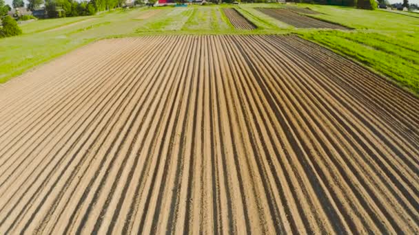 Άποψη Του Οργωμένου Αγρού Την Άνοιξη Για Καλλιέργειες Πατάτες Καλαμπόκι — Αρχείο Βίντεο