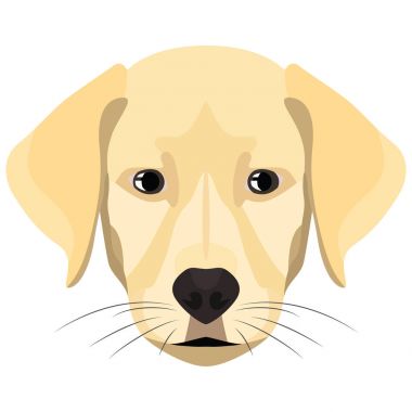 Resimde köpek Golden Retriever yaratıcı kullanılmak üzere grafik tasarım