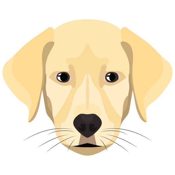 Illustratie Hond Golden Retriever Voor Het Creatieve Gebruik Grafisch Ontwerp — Stockvector