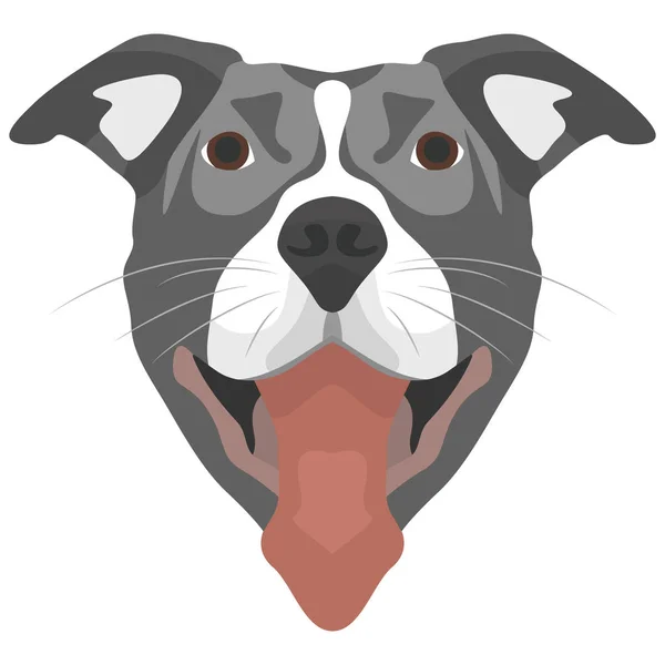 Illustration Chien Pitbull Pour Utilisation Créative Dans Graphisme — Image vectorielle