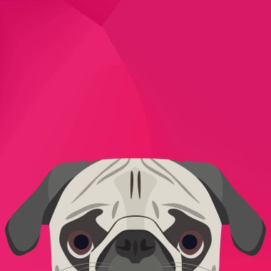 Duvarın üzerinden seyir illüstrasyon köpek pug