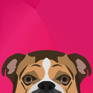 Resimde köpek Fransız buldozer duvardan arıyorsunuz