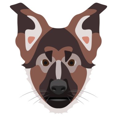 Resimde köpek Alman çoban köpek