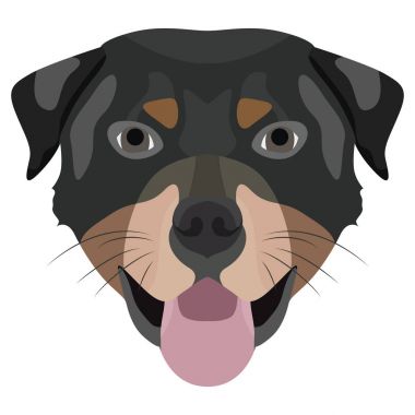 Resimde köpek Rottweiler