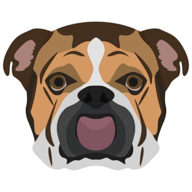 Resimde köpek Fransız buldozer