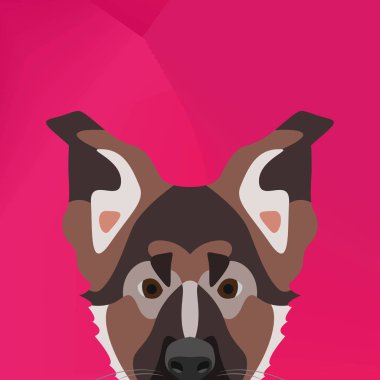 Resimde köpek Alman çoban köpeği duvardan arıyorsunuz