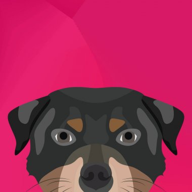 Duvarın üzerinden seyir illüstrasyon köpek rottweiler