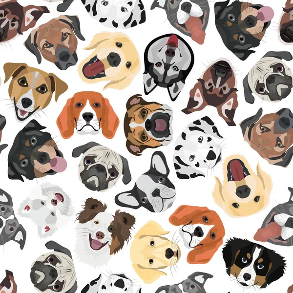 Resimde Dikişsiz desen köpekler