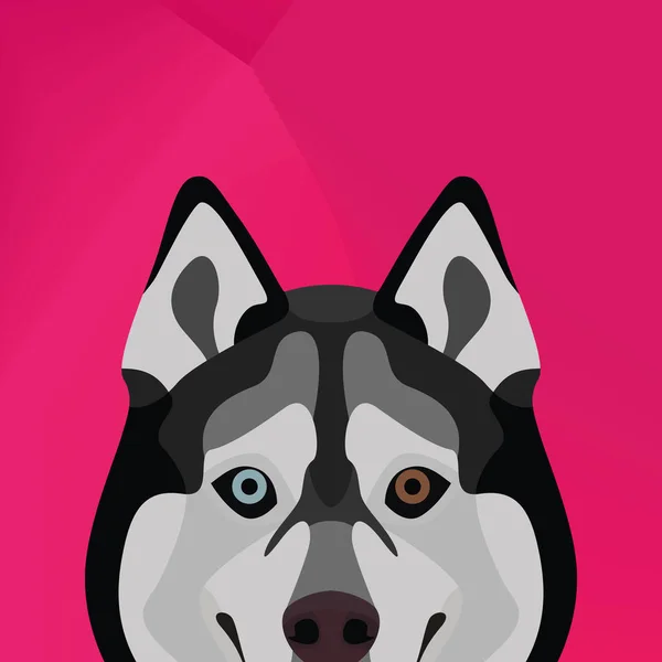 Illustratie hond Husky kijkt uit over de muur — Stockvector