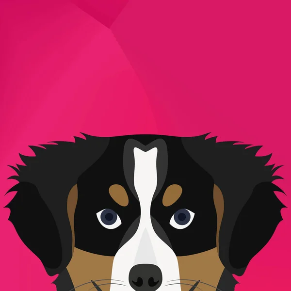 Ilustracja pies Berneński pies pasterski, patrząc na ścianę — Wektor stockowy