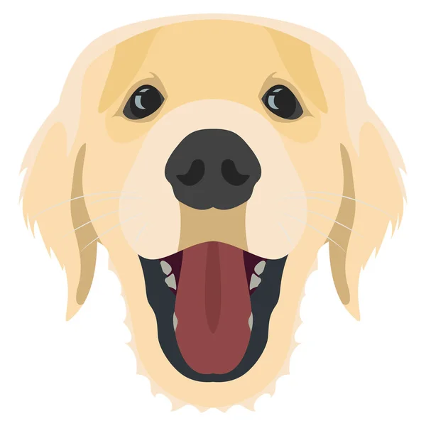 Illustratie hond Golden Retriever — Stockvector
