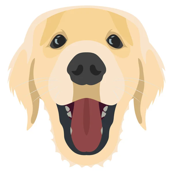 Ilustração Dog Golden Retriever — Vetor de Stock