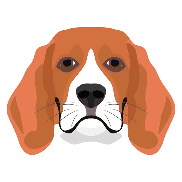 Illustratie hond Beagle — Stockvector