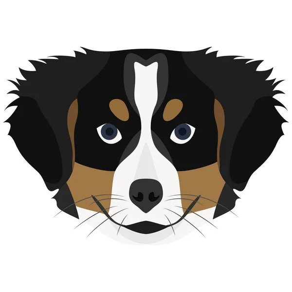 Illustratie Dog Berner Sennenhond — Stockvector