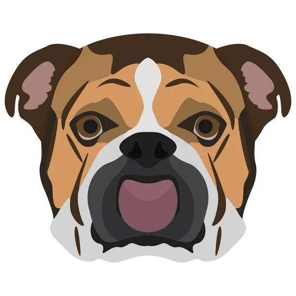 Illustratie hond Franse bulldog — Stockvector