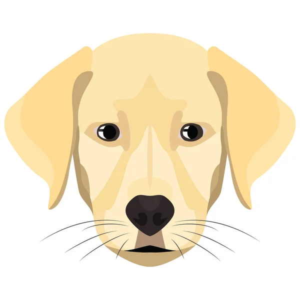 Ilustración Perro Golden Retriever — Vector de stock