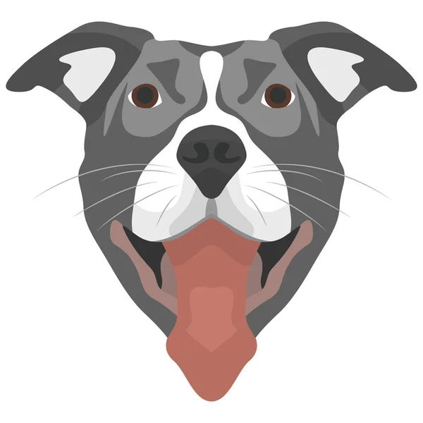 Ilustração Dog Pitbull —  Vetores de Stock