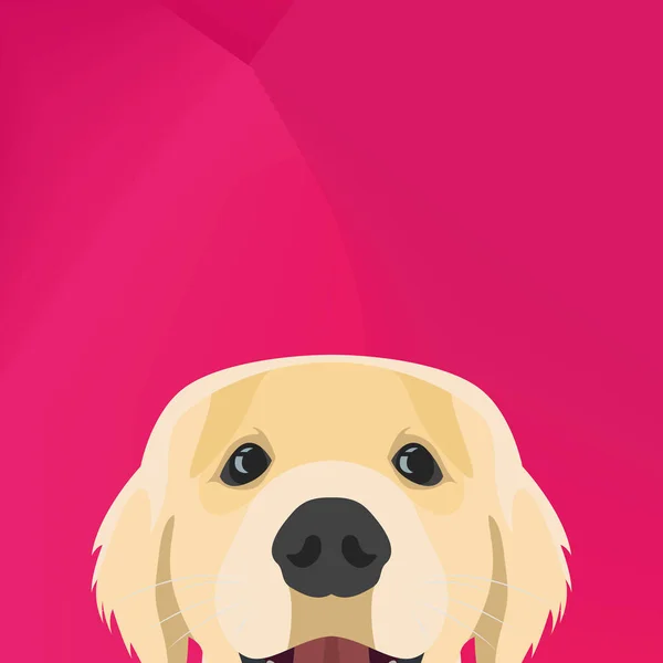 Illustration Hund Golden Retriever schaut über Mauer — Stockvektor