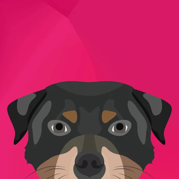 Illustration Chien rottweiler regardant au-dessus du mur — Image vectorielle