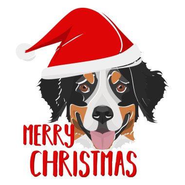 Görüntü Bernese Dağ Köpeği Mutlu Noeller