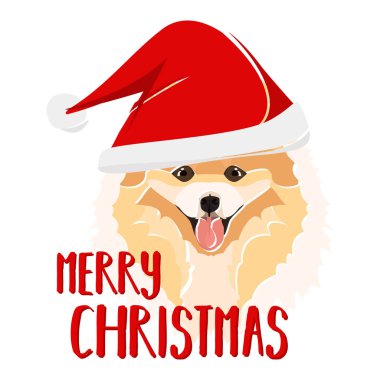 Görüntü: Chow Chow Mutlu Noeller