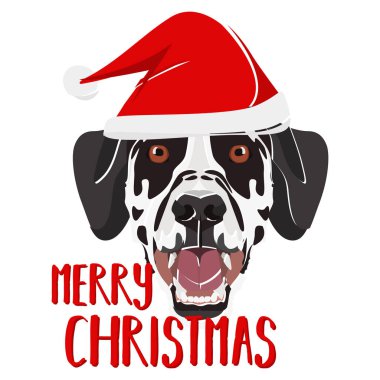 Görüntü Köpek Dalmaçyalı Mutlu Noeller