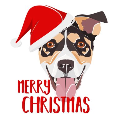 Görüntü: Jack Russell Terrier Mutlu Noeller