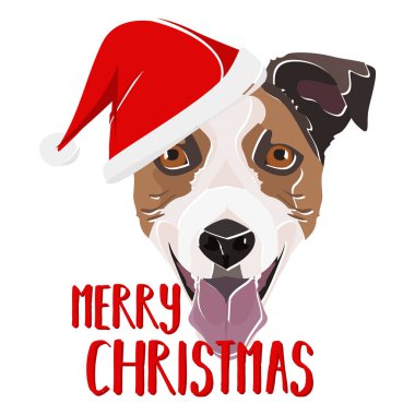 Görüntü: Jack Russell Terrier Mutlu Noeller