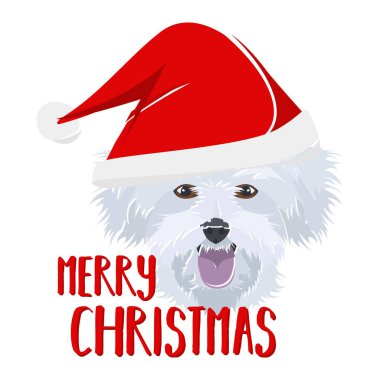 Çizim köpeği Malta Mutlu Noeller