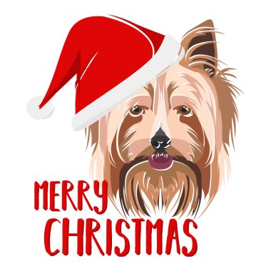 Görüntü Köpeği Yorkshire Teriyeri Mutlu Noeller