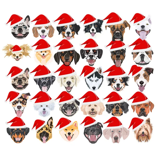 Illustration Frohe Weihnachten mit Hunden — Stockvektor