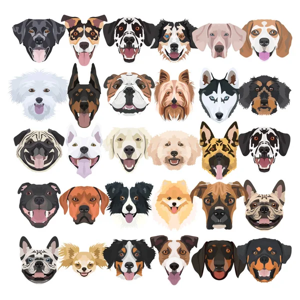 Ilustrace, Mnoho smějících se a krásných psů — Stockový vektor