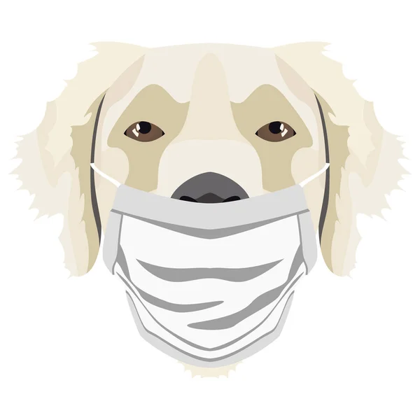 Solunum Cihazlı Bir Golden Retriever Tasviri Salgının Zamanında Tasarım Köpek — Stok Vektör