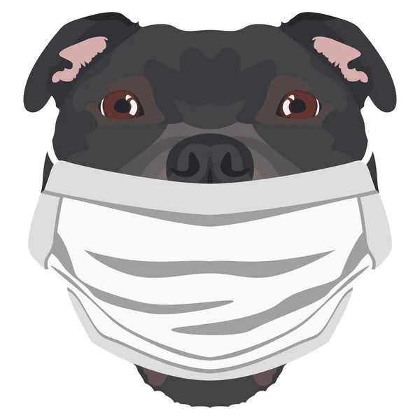 Ilustración Terrier Staffordshire Con Respirador Este Momento Pandemia Diseño Gráfico — Vector de stock