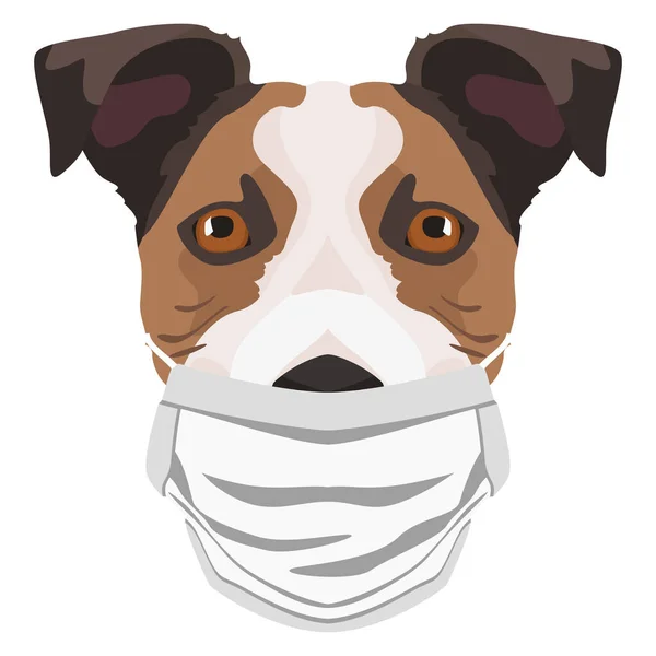 Ilustración Jack Russel Terrier Usando Respirador Este Momento Pandemia Diseño — Archivo Imágenes Vectoriales