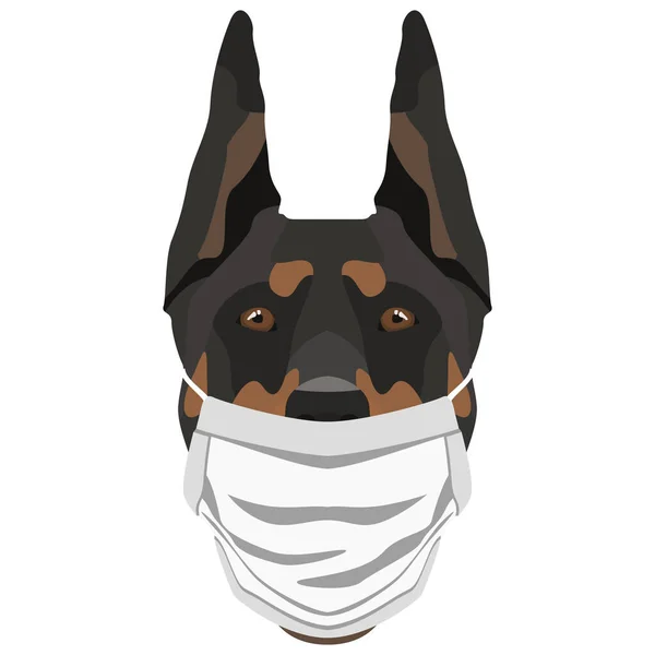 Ilustración Doberman Con Respirador Este Momento Pandemia Diseño Gráfico Agradable Gráficos Vectoriales