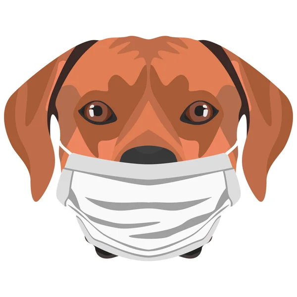 Illustration Eines Rhodesian Ridgeback Mit Atemschutzmaske Dieser Zeit Der Pandemie Stockvektor