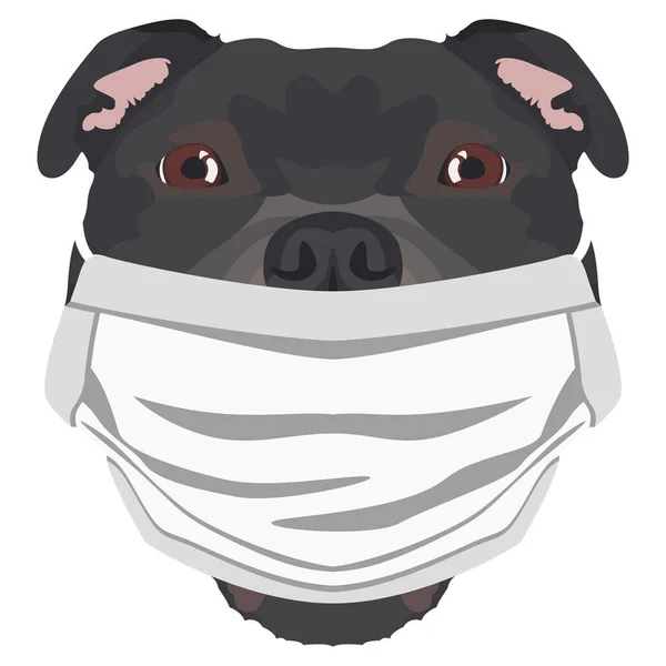 Illustration Eines Staffordshire Bullterriers Mit Atemschutzmaske Dieser Zeit Der Pandemie lizenzfreie Stockillustrationen