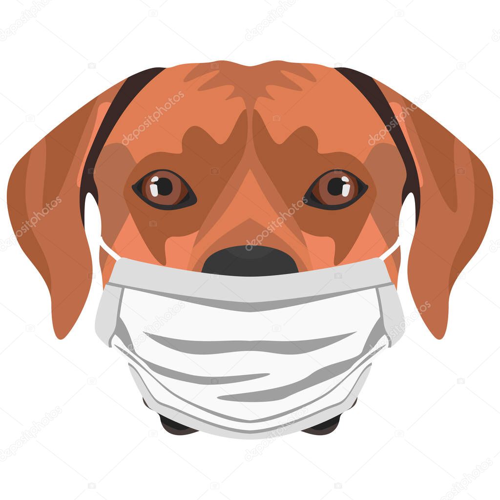 Illustration of a Rhodesian Ridgeback with a respirator. At this time of the pandemic, the design is a nice graphic for fans of dogs