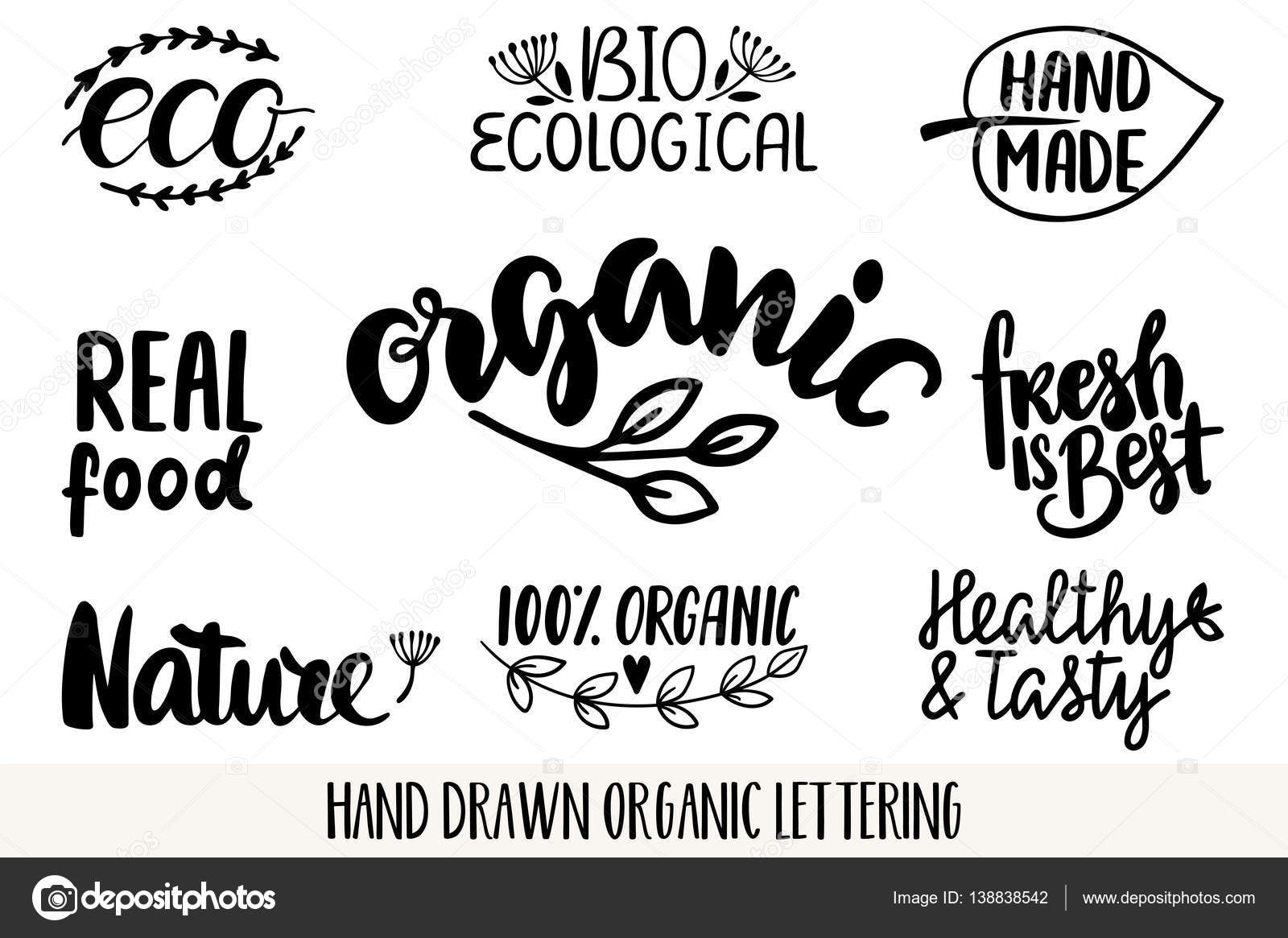 Hand drawn Eco friendly lettering Stock Vector Image by ©Maria_Galybina ...