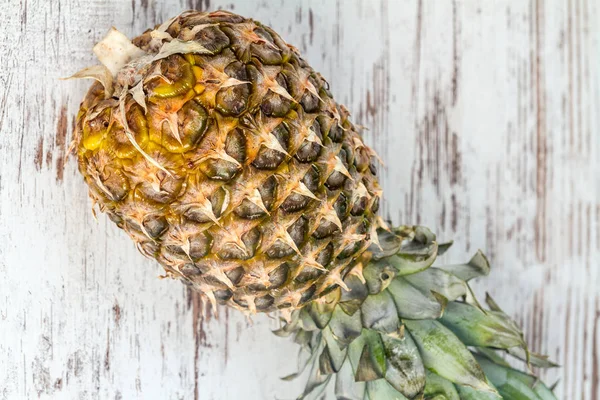 Rijp verse ananas — Stockfoto