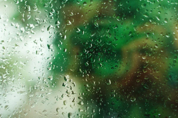Rain drops on the window — Stock Photo, Image