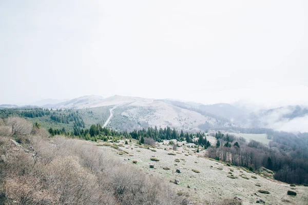 Vista del bosque de montañas — Foto de Stock