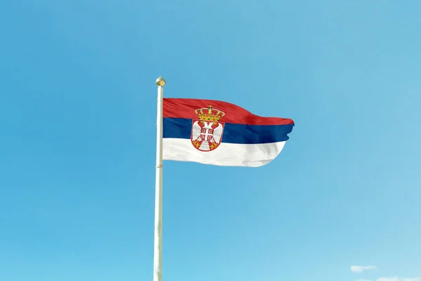 Vlag van Servië op de mast — Stockfoto