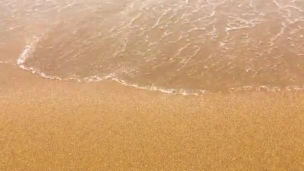 Ondas na praia arenosa — Vídeo de Stock